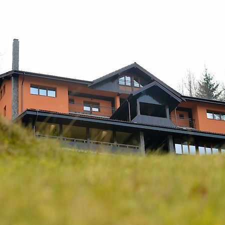 Pensiunea Ayana Petroşani Exterior foto