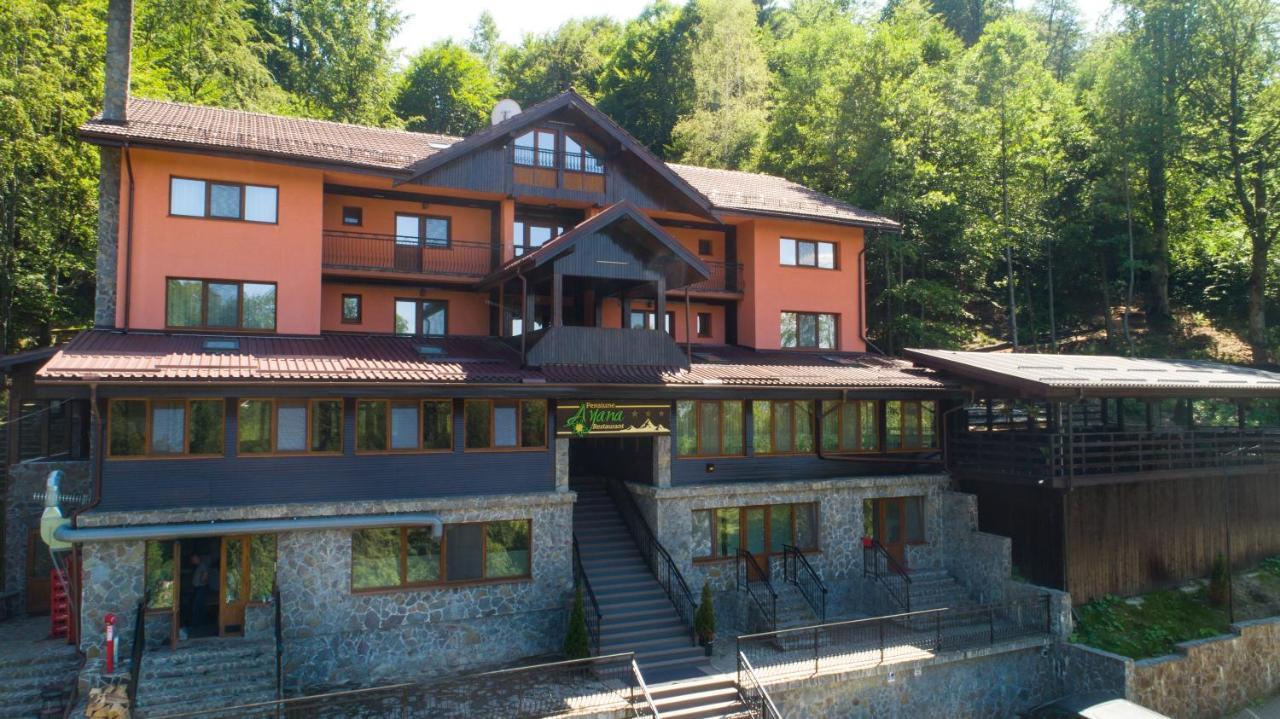 Pensiunea Ayana Petroşani Exterior foto