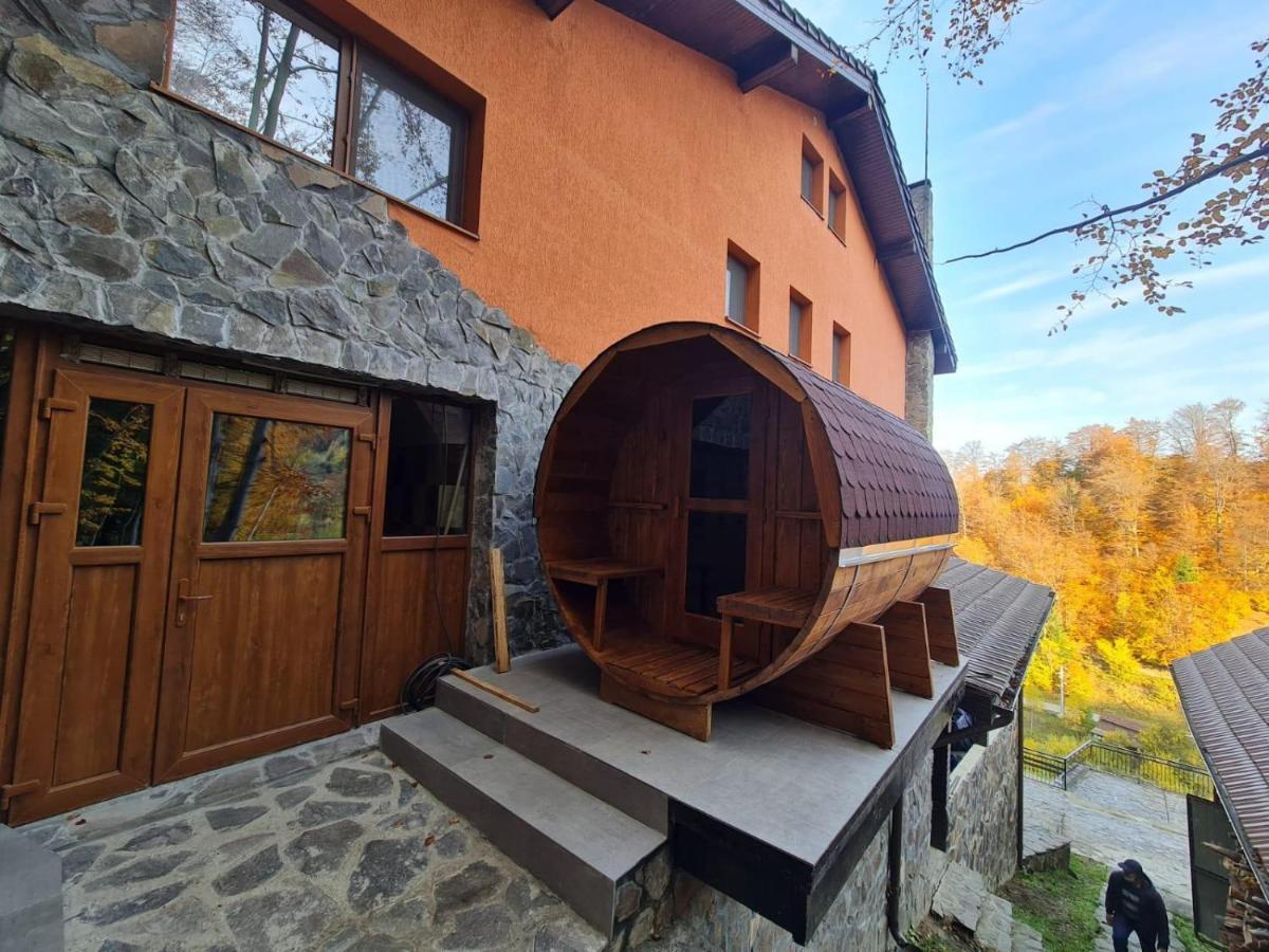 Pensiunea Ayana Petroşani Exterior foto