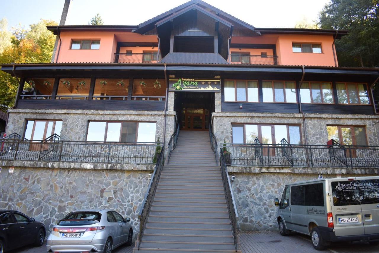 Pensiunea Ayana Petroşani Exterior foto